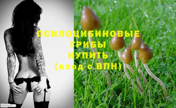 MDMA Надым