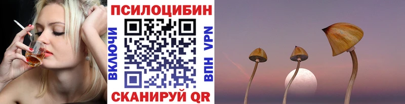 Галлюциногенные грибы мицелий  Братск 