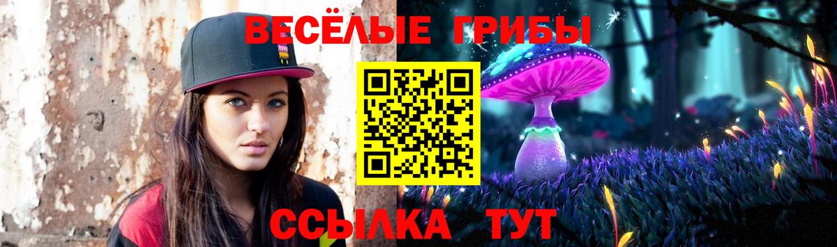 наркота  Вход с VPN  Братск  Псилоцибиновые грибы мицелий 