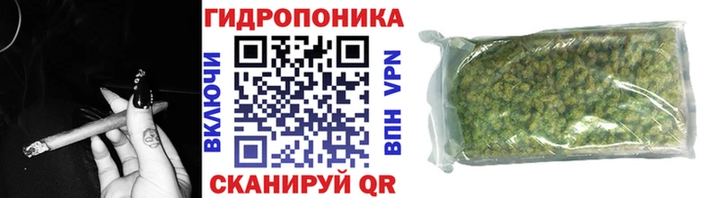 закладка  Братск  Каннабис OG Kush 