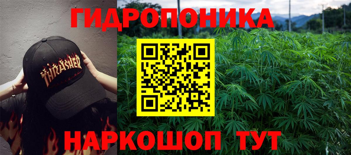 Бошки Шишки Amnesia Братск